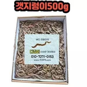 갯지렁이 낚시 미끼 생물 갯지렁이 싱싱한 낚시용 바다 감성돔 선상 원투-WFQ86JX