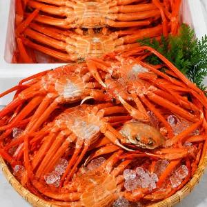 [8월28일 이후 발송]달큰하고 촉촉한 포항 구룡포 홍게 산지 3kg 5kg 수율80
