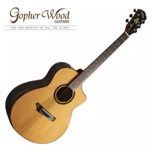 [스쿨뮤직]GopherWood - i365RC