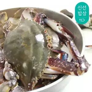 [품질보장] 이순신수산 제철 서해안 빙장 생물 활숫꽃게 중 1kg [4-5미]
