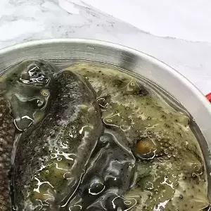 국내산 활해삼 500g