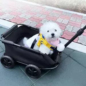 소형 강아지 유모차 경량 반려동물 접이식 미니 애견 유모차 휴대용 산책용 개모차 이동가방 애완견