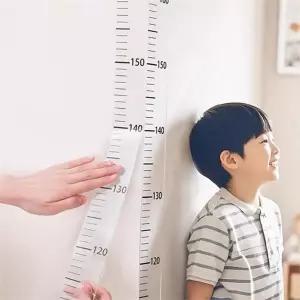 벽키 재기 아이키 스티커 시트지 어린이 키 재기 200cm 재는 성장 아동 눈금자 기록 눈금 측정 신장