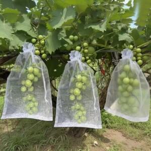 10pcs 포도 과일 전용 보호 가방 나일론 해충 안티 버드 네트 농업용 나무 정원