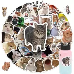 50pcs 고양이 밈 컬렉션 스티커 노트북 물병에 대 한 방수 비닐 데칼 전화 스케이트 보드