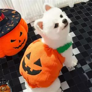 할로윈 호박 랜턴 강아지 옷 변신 튬 프레 고양이 테디 특별 의류 코믹한 의상