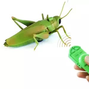 메뚜기 RC 곤충 모형 키즈 무선조종 장난감 놀이