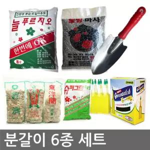 분갈이 6종 세트식물보호제 관리약 영양제 화분 전용 고급 부족 가정용 분재 관엽 용제