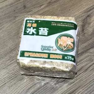 천연수태 (75g) /건조 압축 수태 / 토피어리/풍란 난 재배용