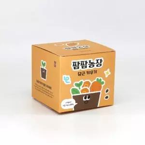 당근 모종 화분 식물 키우기 유치원 체험 미니텃밭
