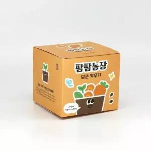 히키스 당근 모종 화분 식물 키우기 유치원 체험 미니텃밭