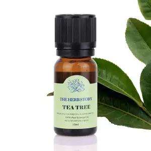 티트리 아로마 에센셜 12ml 오일
