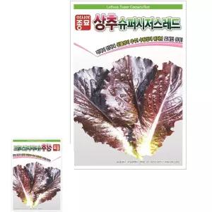 뮤 상추 씨앗 종자 슈퍼시저스레드 6000립