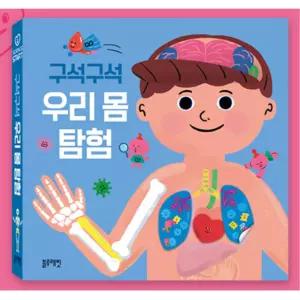 사람몸 장기위치 장기 신체구조 인체탐구 그림책 체험교육 과학교구