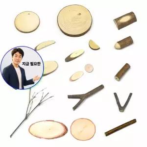 지금 필요한 대용량 자연나무 조각 18종 재료 만들기 나무조각 공예공작