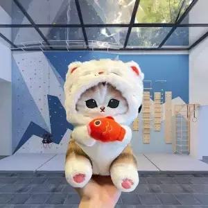 잉어 고양이 암벽 등반 분필 가방 암석 마그네슘 파우더