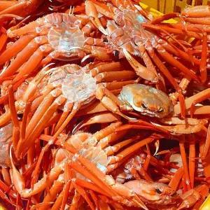 구룡포 자숙 박달홍게 3kg