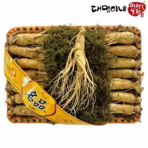 [대명이네 인삼농장]금산인삼 수삼선물세트 14∼15뿌리 (1.5kg)