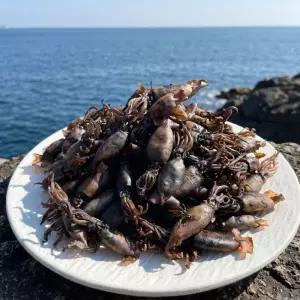 햇 건조 먹물 꼴뚜기