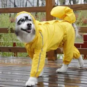 [제이큐]강아지 우비 대형견 레인코트 10XL 반려견 비옷 장마철 필수템 레인
