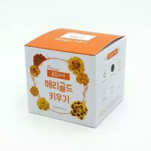 메리골드 학습준비물 식물키우기 생물 생화 씨앗 꽃