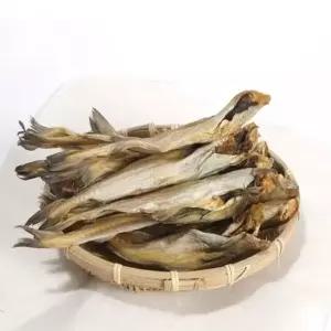 두절노가리 1kg
