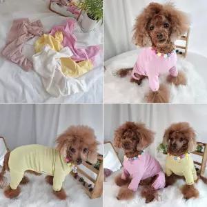 반려견 레이스 강아지 실내복 산책 데일리 애견 패션 반려동물 옷