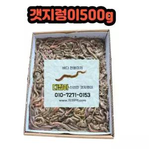 생물 갯지렁이 청개비 500g 낚시 바다미끼 미끼 통발