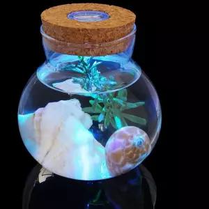 마리모 키우기 LED 유리병 수경 반려식물 유리공병 수조장식용품 코르크병 테라리움 1D095