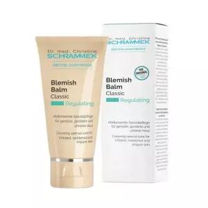 닥터슈라멕 BB 비비 30ml 블레미쉬밤