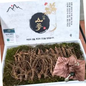장뇌삼 2등급 중 10뿌리 7-8년근 식자재