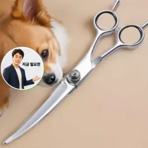 지금 필요한 3종 숱가위 애완동물 가위 커팅 셀프 세트 미용 고양이전용