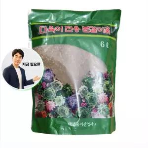 지금 필요한 선인장분갈이 6L 배수잘되는 다육이전용흙 다육이토