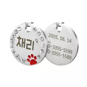 강아지 이 반려동물 애견 애묘 인식표 이름표 목걸이 네