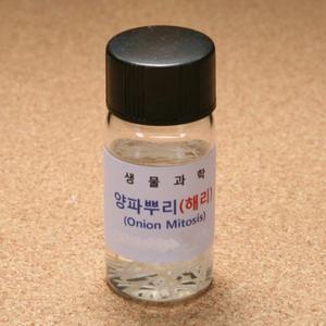 양파뿌리(해리)BS EDU-22641 / 체험학습키트 세포분열실험재료 과학실험