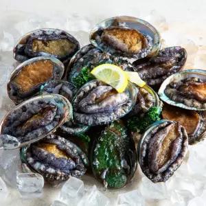 [선물세트]특특대 완도 활전복 1kg(9-10미) 산소포장