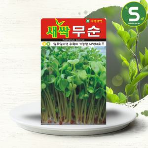 새싹무순씨앗 30g 새싹 무순 채소 씨앗 웰빙