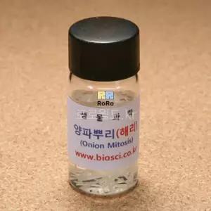 양파뿌리 해리 10ml (약35개입)/과학 실험 키트 교구 도구 만들기