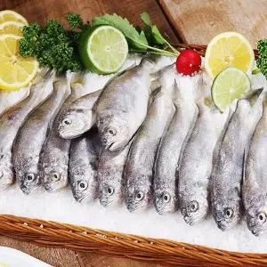 여수 참조기 2kg [40~50미]