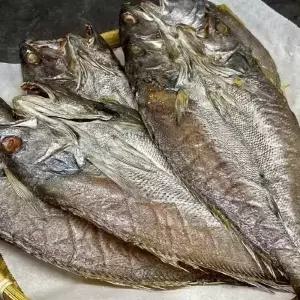 반건조 민어 10미