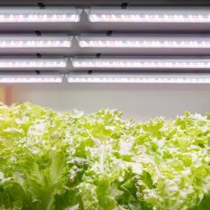 LED 식물 재배등 8개 풀세트 실내용 인공조명 베란다 화분 화초 식물성장등 식물등 생장 성장