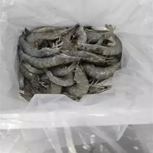 국산 흰다리새우 500g 1kg 왕새우 생새우 활새우 회 제철