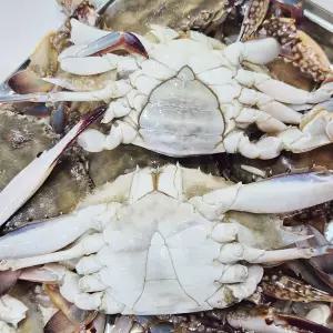 국내산 급냉 몸통꽃게 1kg 3~7미(암수랜덤)