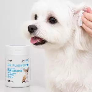 강아지 고양이 귀세척 이어 클린 패드 귀관리 데일리케어 물티슈 40매 귀청소 케어