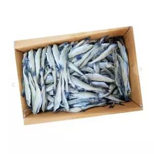 두절 노가리 대용량 사이즈 10kg 21-23 술안주