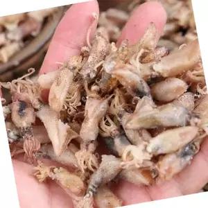 마른꼴뚜기 건꼴뚜기 1kg 밥반찬