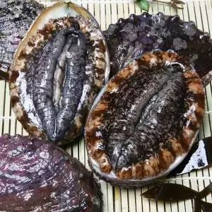 [셀러허브][완도 산지직송]삼삼한 현탑수산 완도 활전복16-18미 산소포장 선물포장 (S50787029)