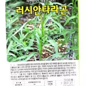 유어샵 허브 러시안타라곤 종자 종묘 씨앗 캐모마일 쓴맛