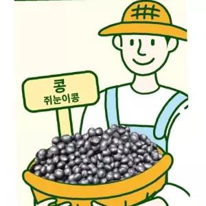 유어샵 쥐눈이콩 웰빙 씨앗 종자 까만콩 종묘