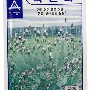 유어샵 인기좋은 종묘 라벤더 씨앗 허브 종자